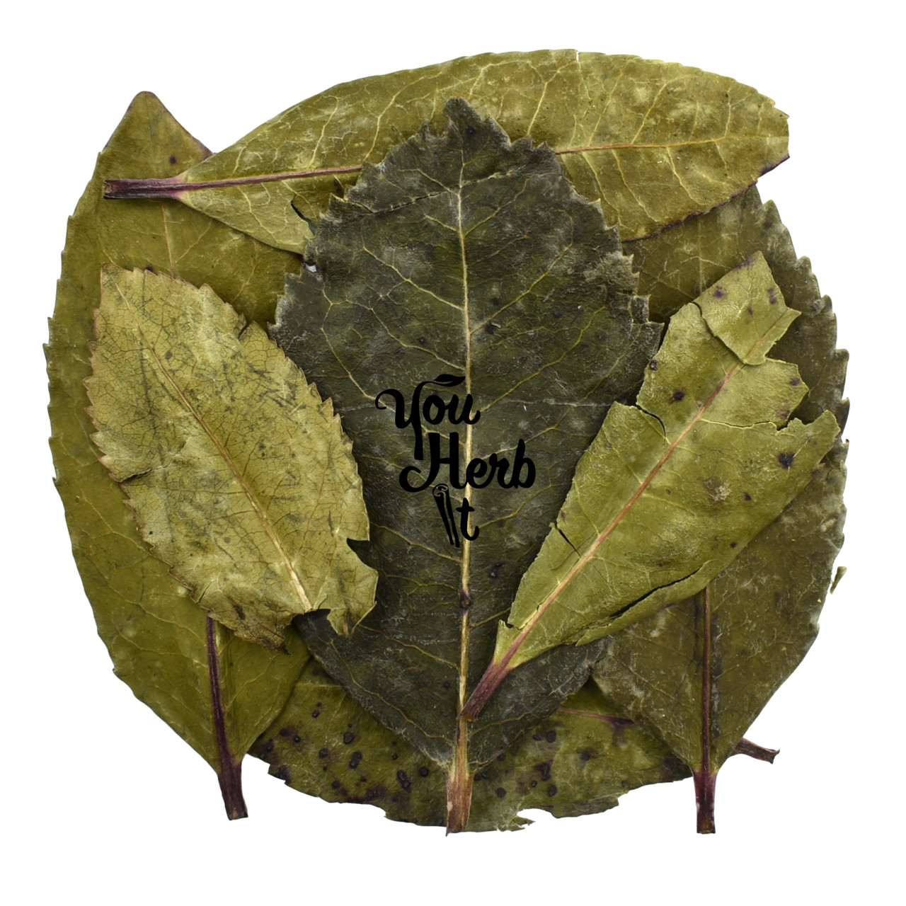 Strawberry Tree Dried Whole Leaves Herbal Tea 25g-200g – Arbutus Unedo