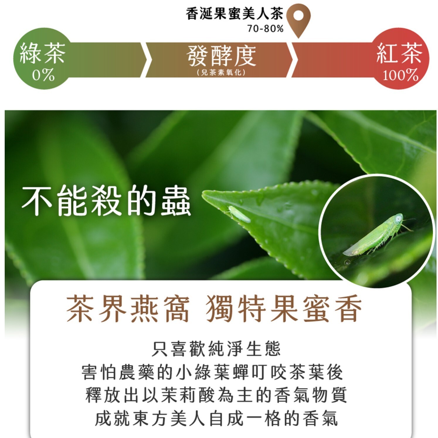 Taiwan unique tea,Fragrant Fruit Honey Beauty Tea,75g*4