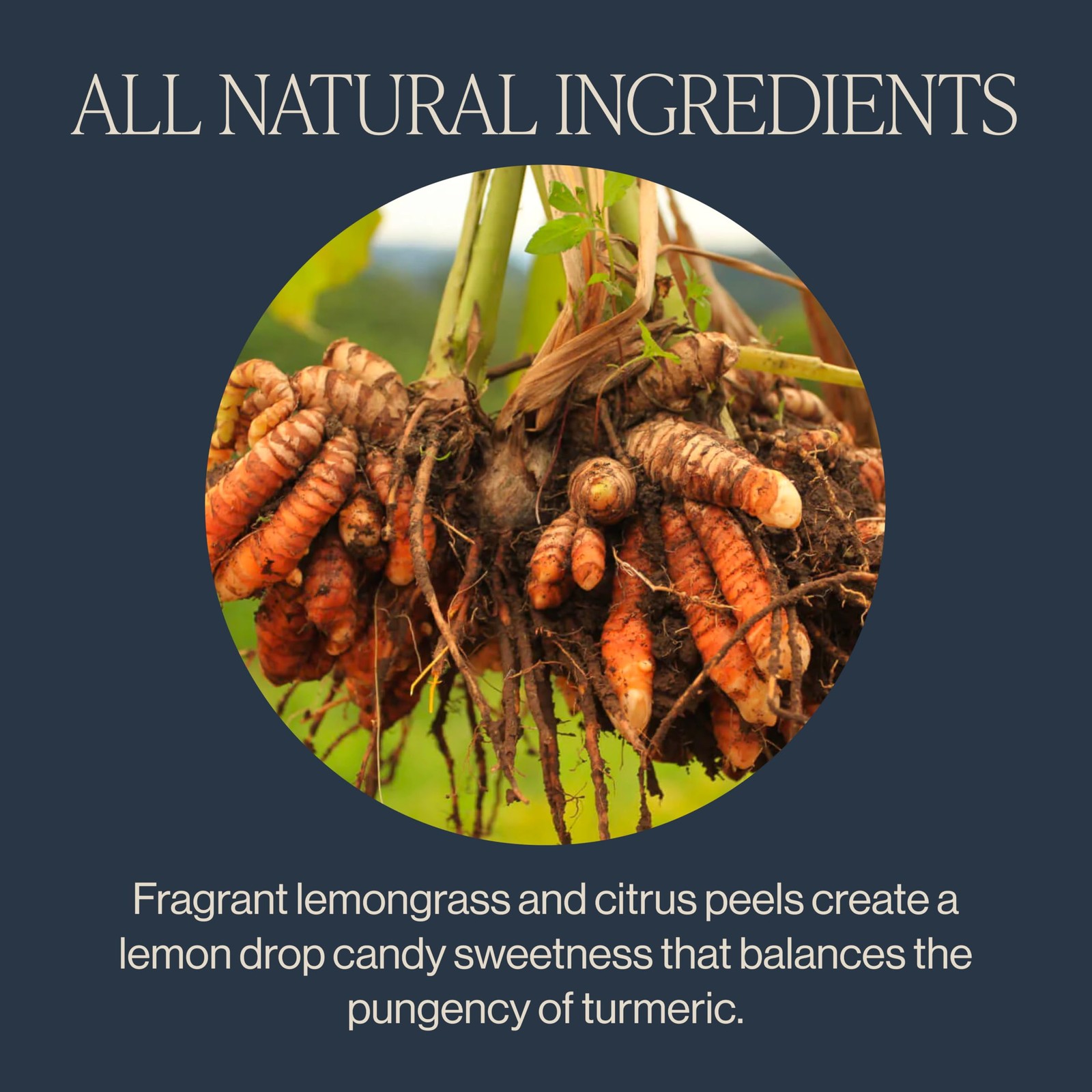 Rishi Tea Turmeric Ginger Herbal – Organic Loose 1/4 Pound (Pack of 1)