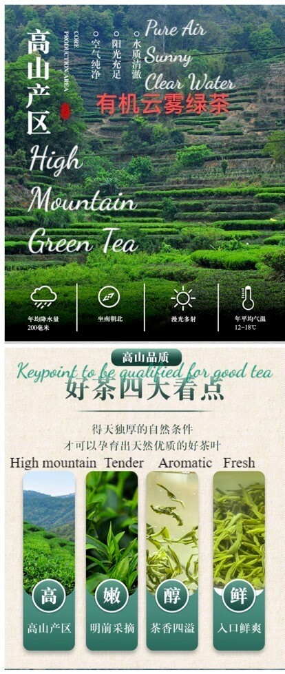 YUAN Tea Time high mountain green tea-8 ounes Bag
