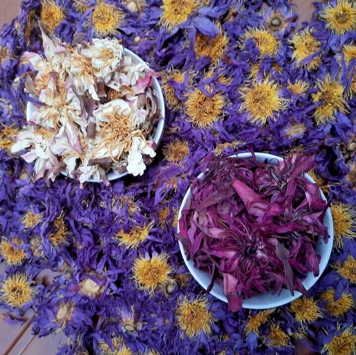 Blue,Red & White Lotus Flower Nymphaea Caerulea Natural Dry Herbal 3oz (1oz×3)