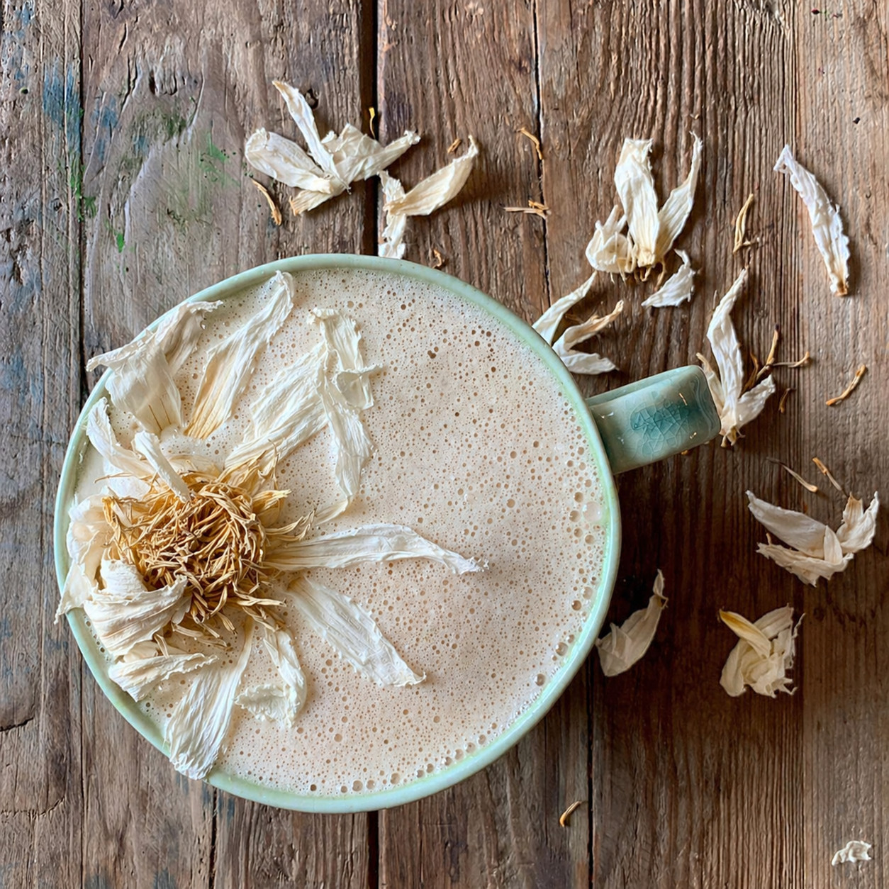 25g White Lotus Flowers • Premium Grade • Nelumbo nucifera • 100% Natural