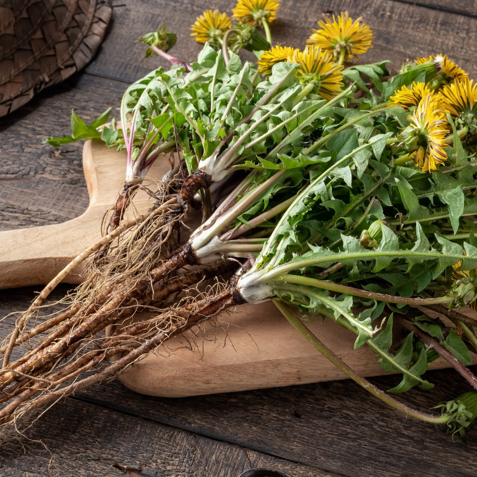 Dandelion Root Loose Leaf Herbal Functional Tea