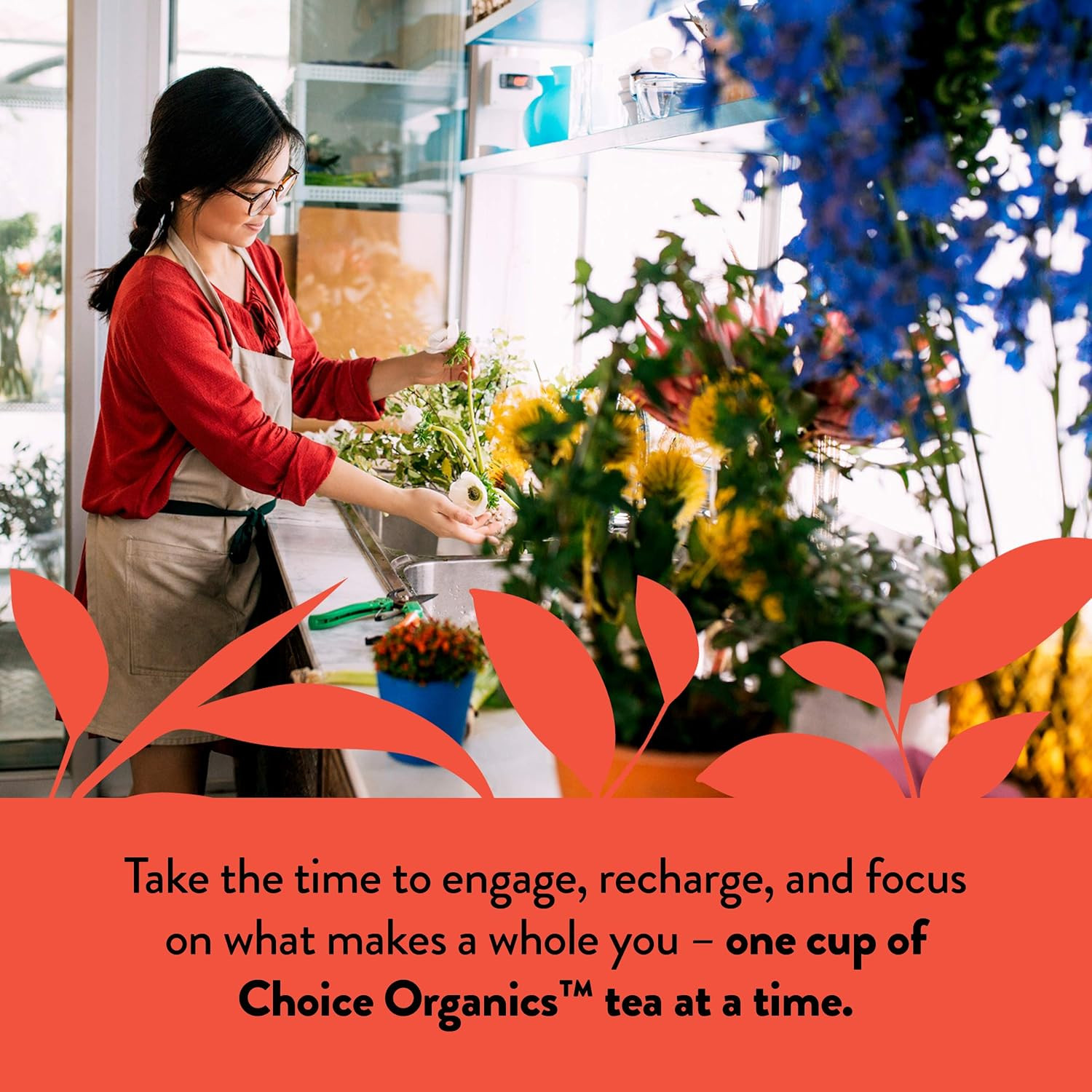 Choice Organics – Organic English Breakfast Tea (6 Pack) – Fair Trade – Composta