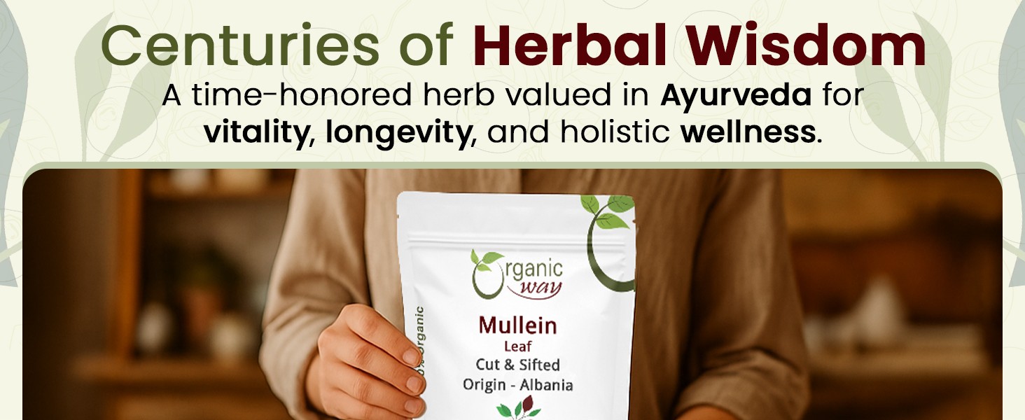 Mullein Leaf | Herbal Tea (Verbascum thapsus) Cut & Sifted – European