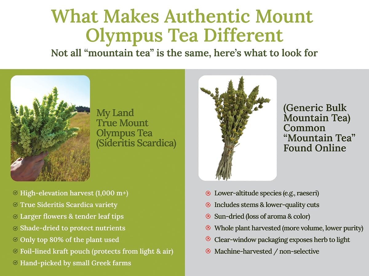 My Land Organic Greek Mountain Tea (Sideritis Scardica) – Loose Leaf Ironwort Ha