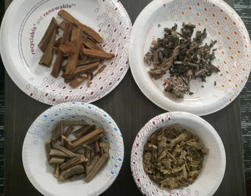Soursop bark, Trumpet, Ramoon, king of forest, 11 Jamaican herbs wholesale order