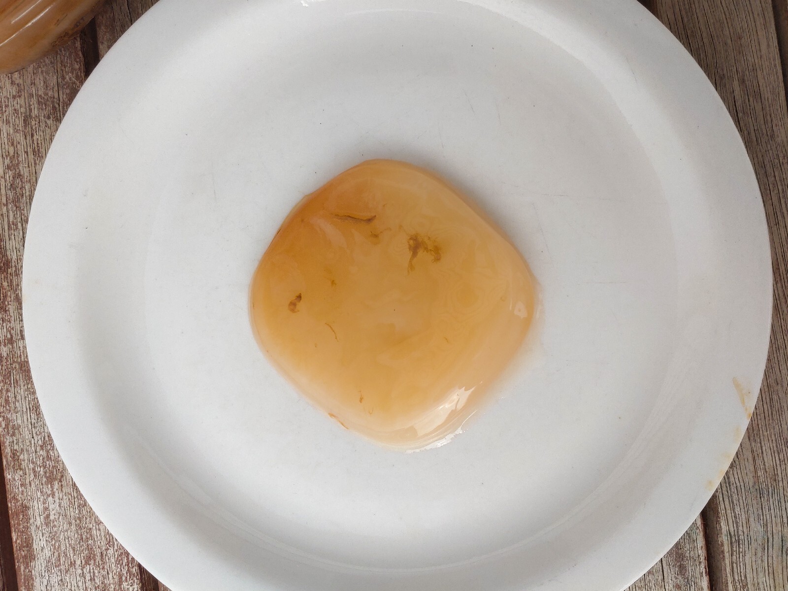 4″ Live ORGANIC KOMBUCHA FRESH SCOBY STARTER TEA | Kombucha For Gut Health