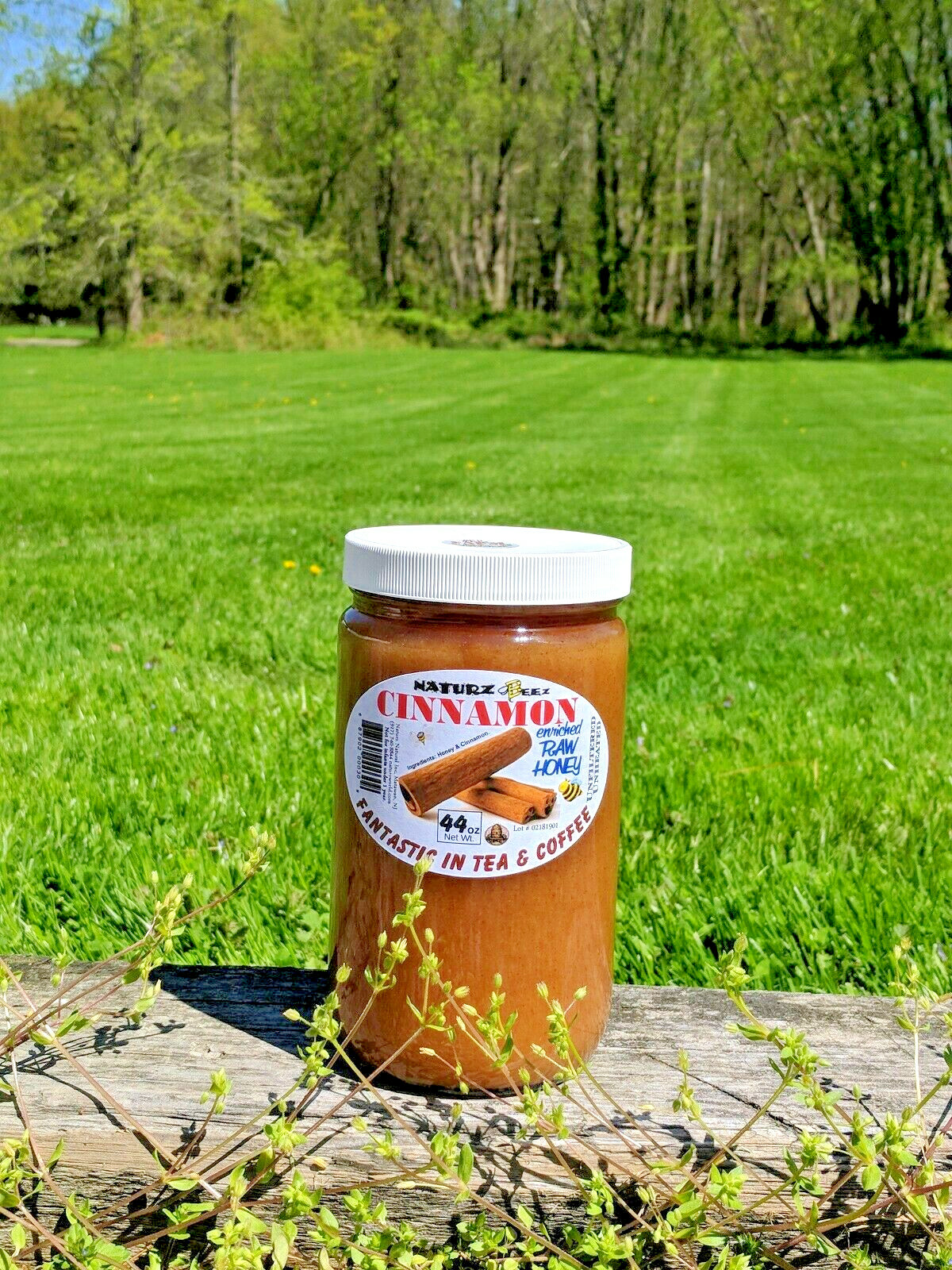 CINNAMON HONEY 44oz / 1.25kg / 2.75lb RAW HONEY & CINNAMON 100% PURE USA HONEY