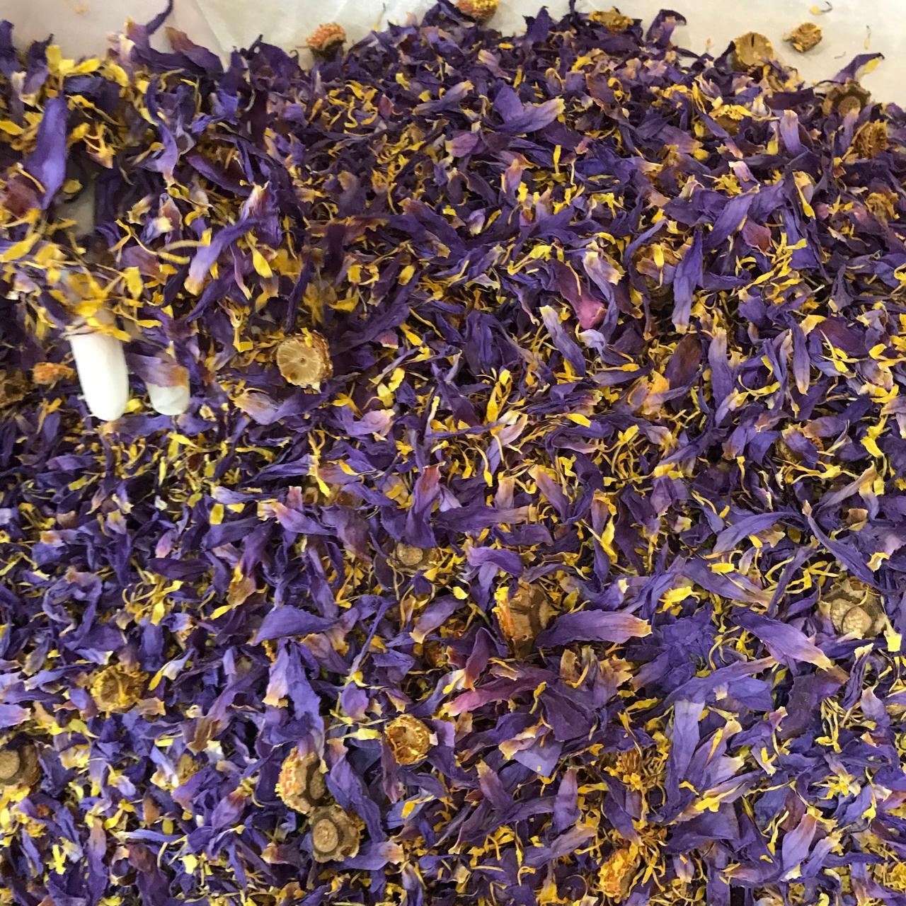 Ceylon Blue Lotus Flower Nymphaea Caerulea Dried Organic Flowers Egyptian Tea
