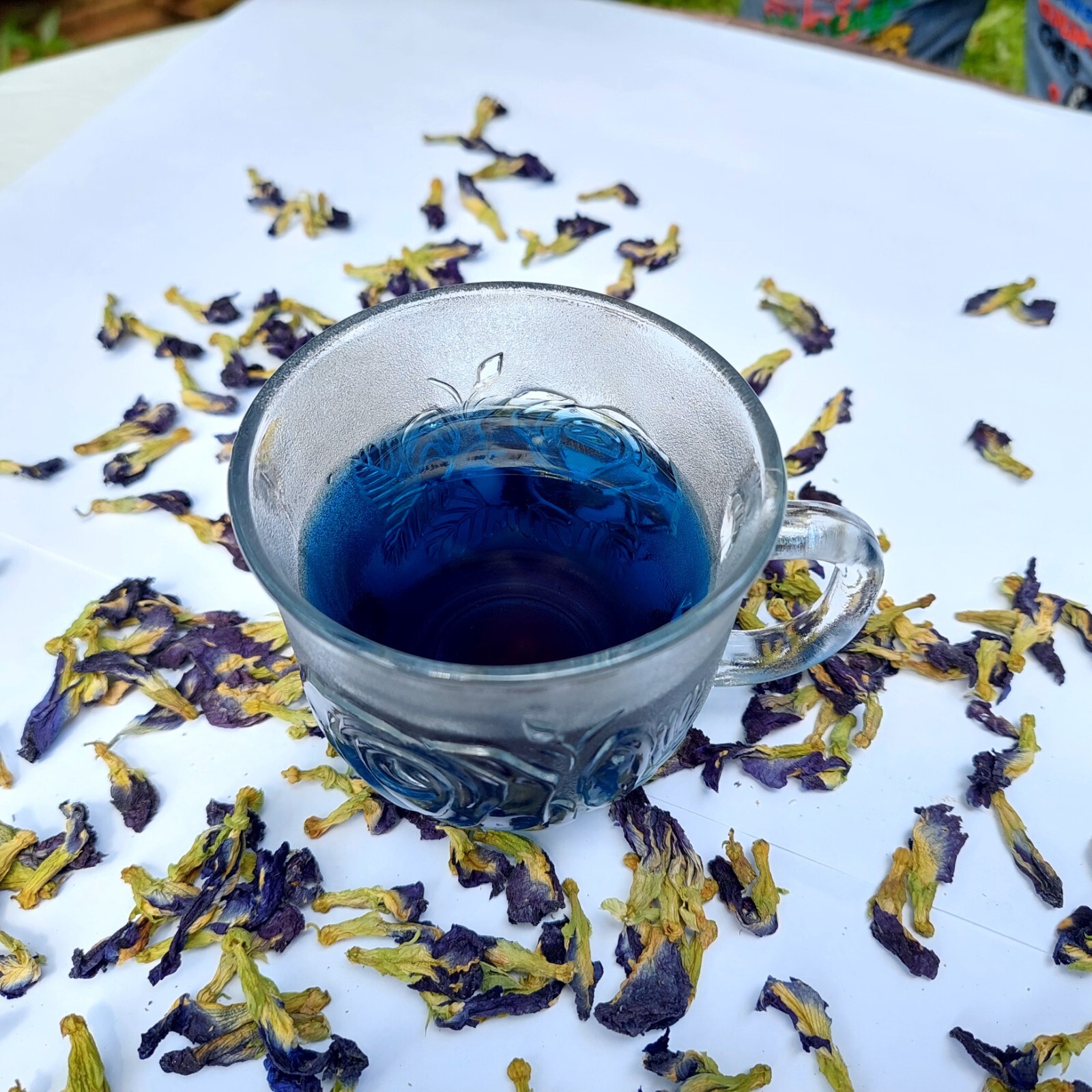 500g Blue Butterfly Pea Flower Clitoria Ternatea Nil Katarodu For Herbal Drink