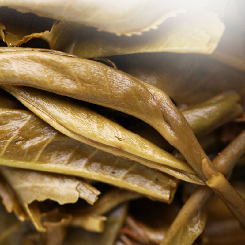 2021 Haiwan Famous Mountain Aged Tree Raw Puer Pa Sha Gu Shu Sheng Puer Tea 500g