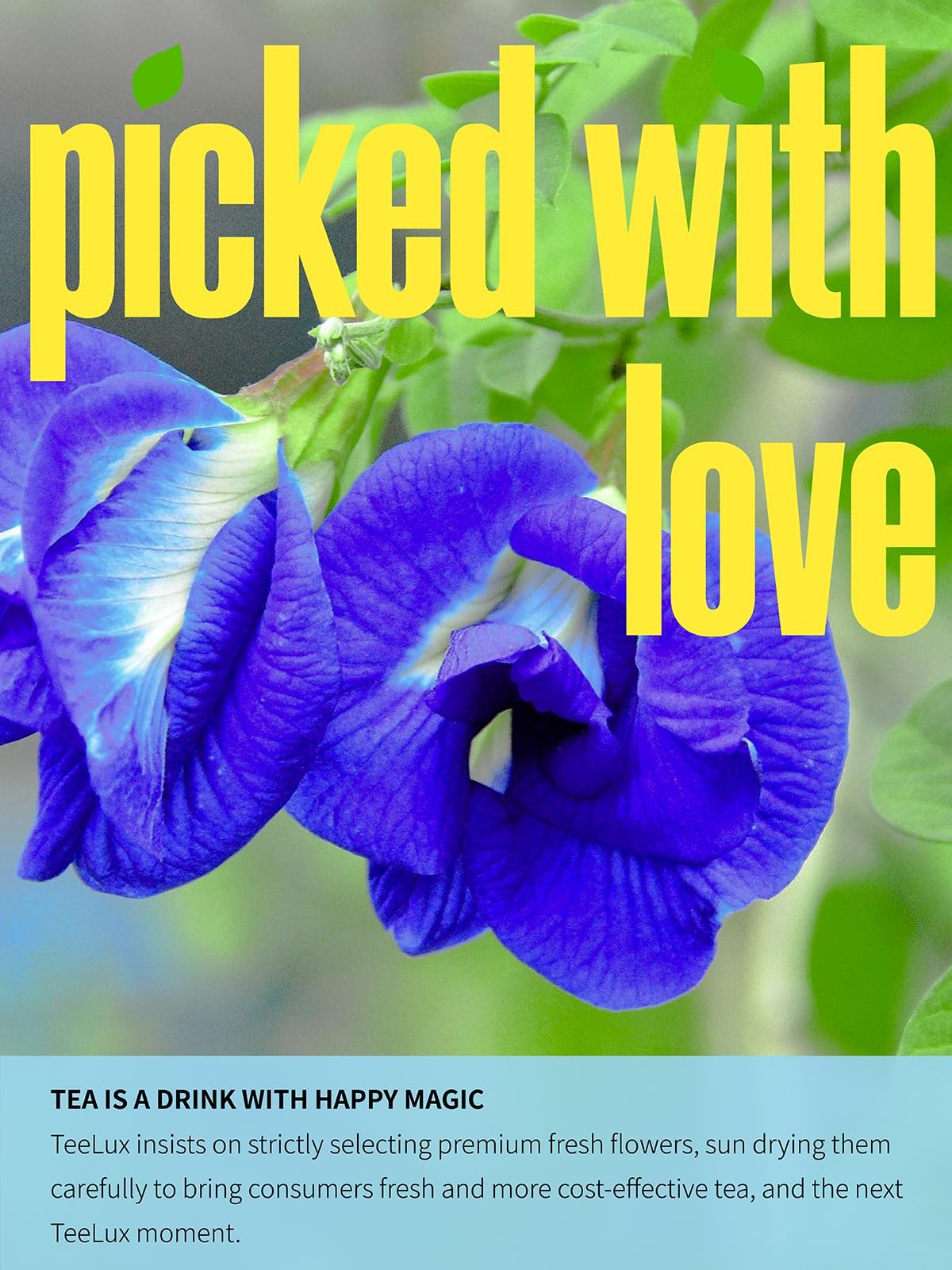 Butterfly Pea Flower Powder, Natural Butterfly Pea Flower Tea for Blue & Purp…