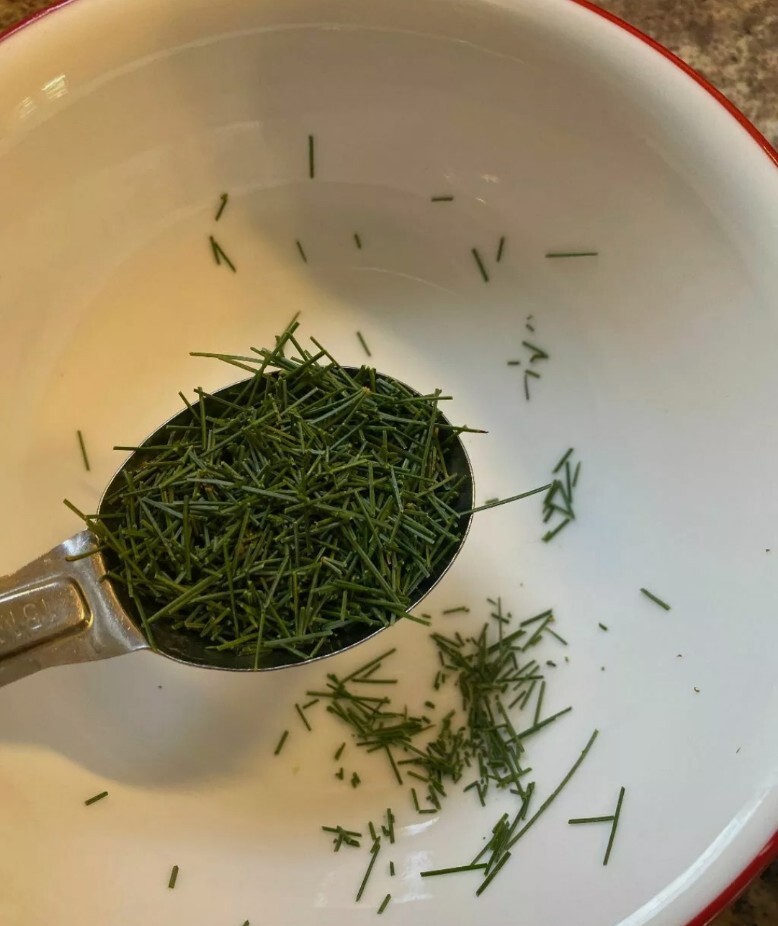 Pine Needle Tea 25 Bags Wild Suramin Organic Fresh Immunity Boost Vitamin C & A