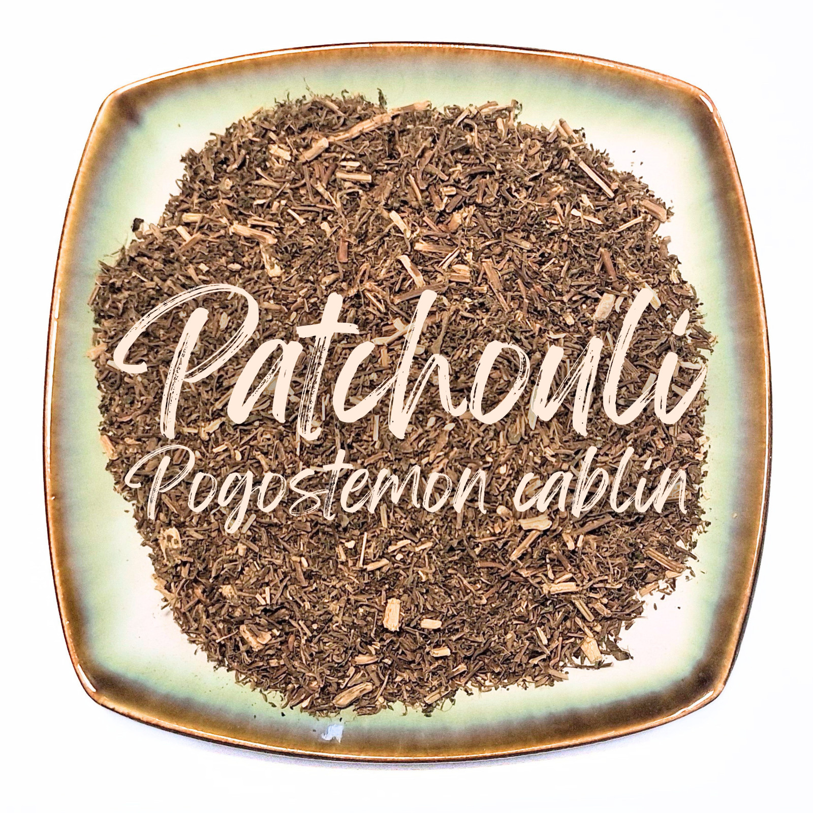 Patchouli Dried Cut Herb Organic Herbal Tea Bulk – Pogostemon cablin