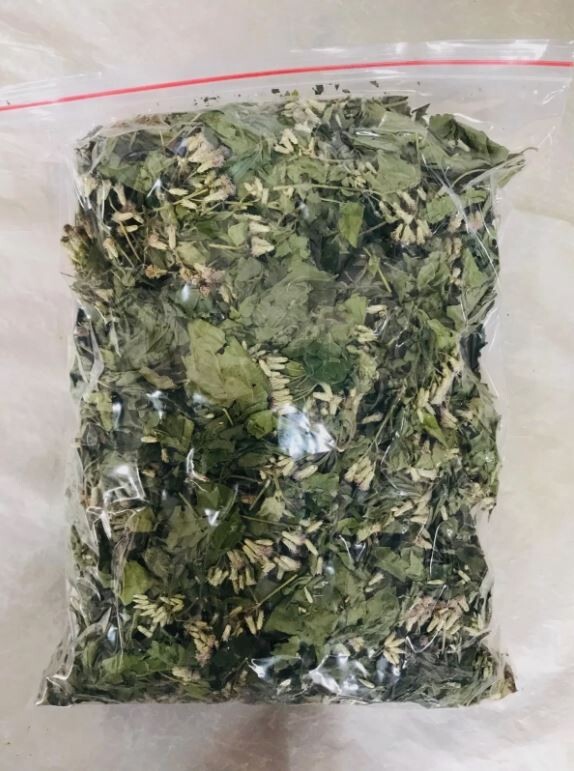 Mexican Dream Herb Calea Zacatechichi | Organic Hand-Picked Leaves for Tea