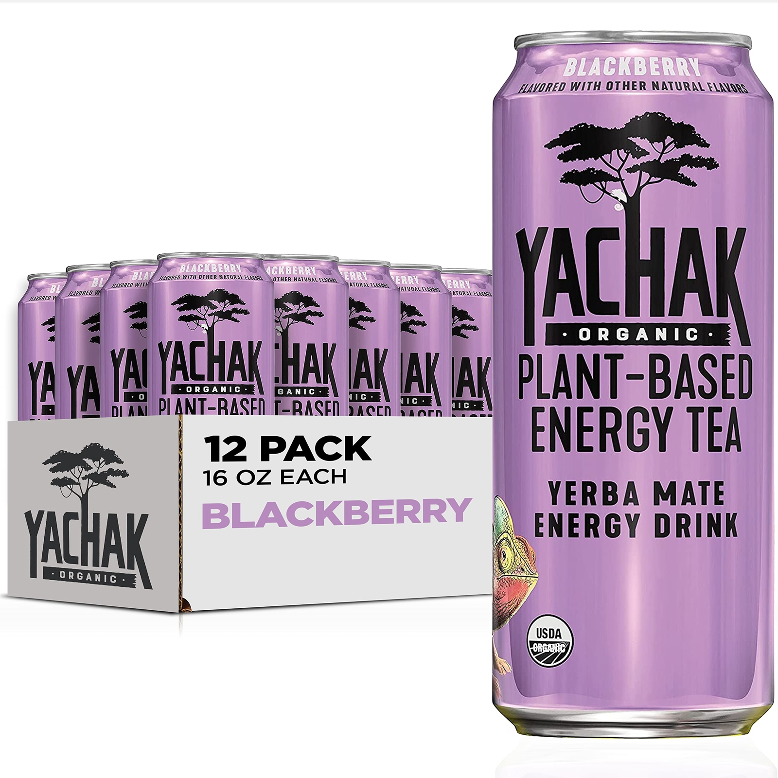 YACHAK Organic Yerba Mate Blackberry Flavor 16 Fl Oz Pack of 12 Cans