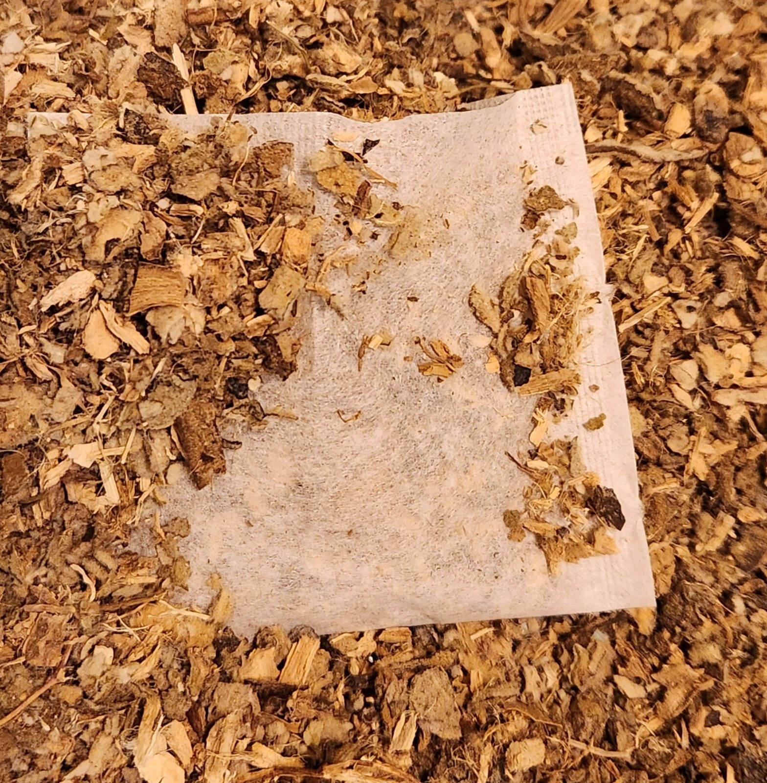 Mullein Leaf Marshmallow Root Blend Tea Bags – All Natural Wildcrafted