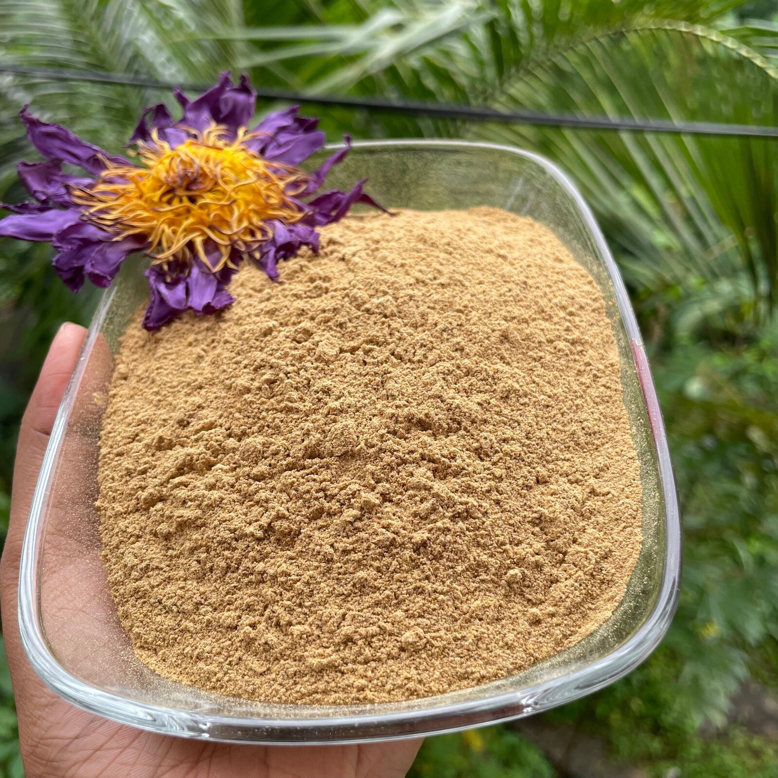 Blue Lotus nymphaea caerulea Flowers Powder 100% Organic Natural Pure Herbal Tea
