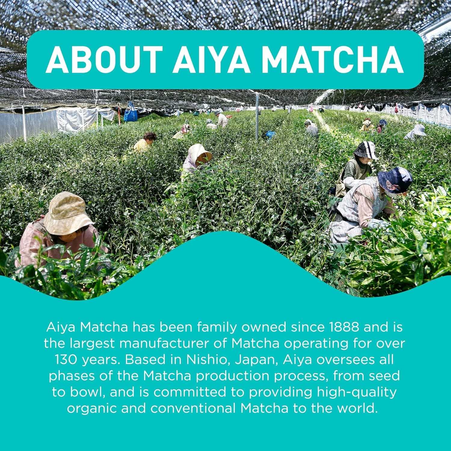 Aiya Japanese Sweetened Matcha Powder to Go Sticks – 0.42 Ounce (Pack of 8)
