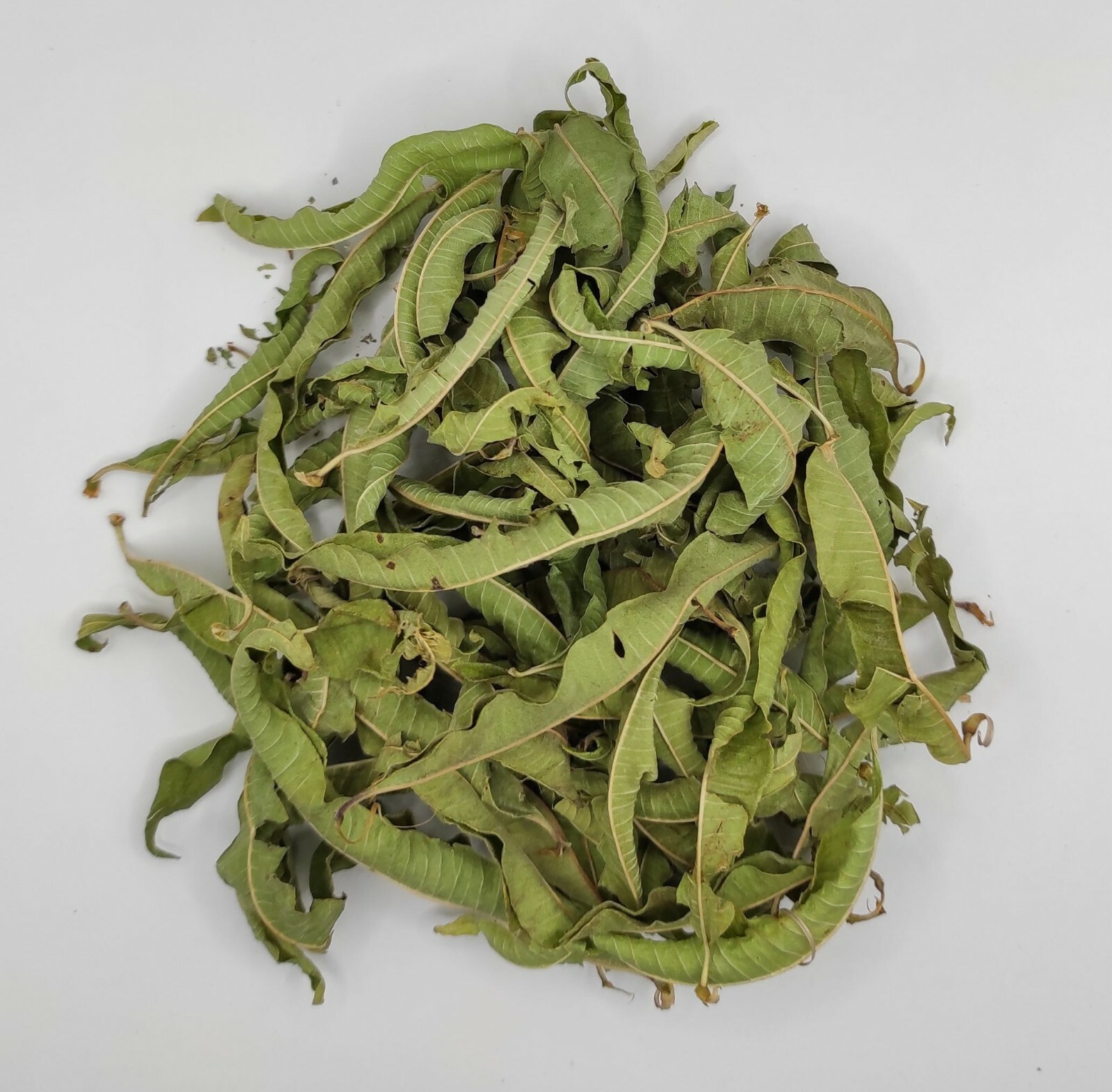 Greek Lemon Verbena Dried Whole Leaves 85g – 1.95Kg | Harvest 2023