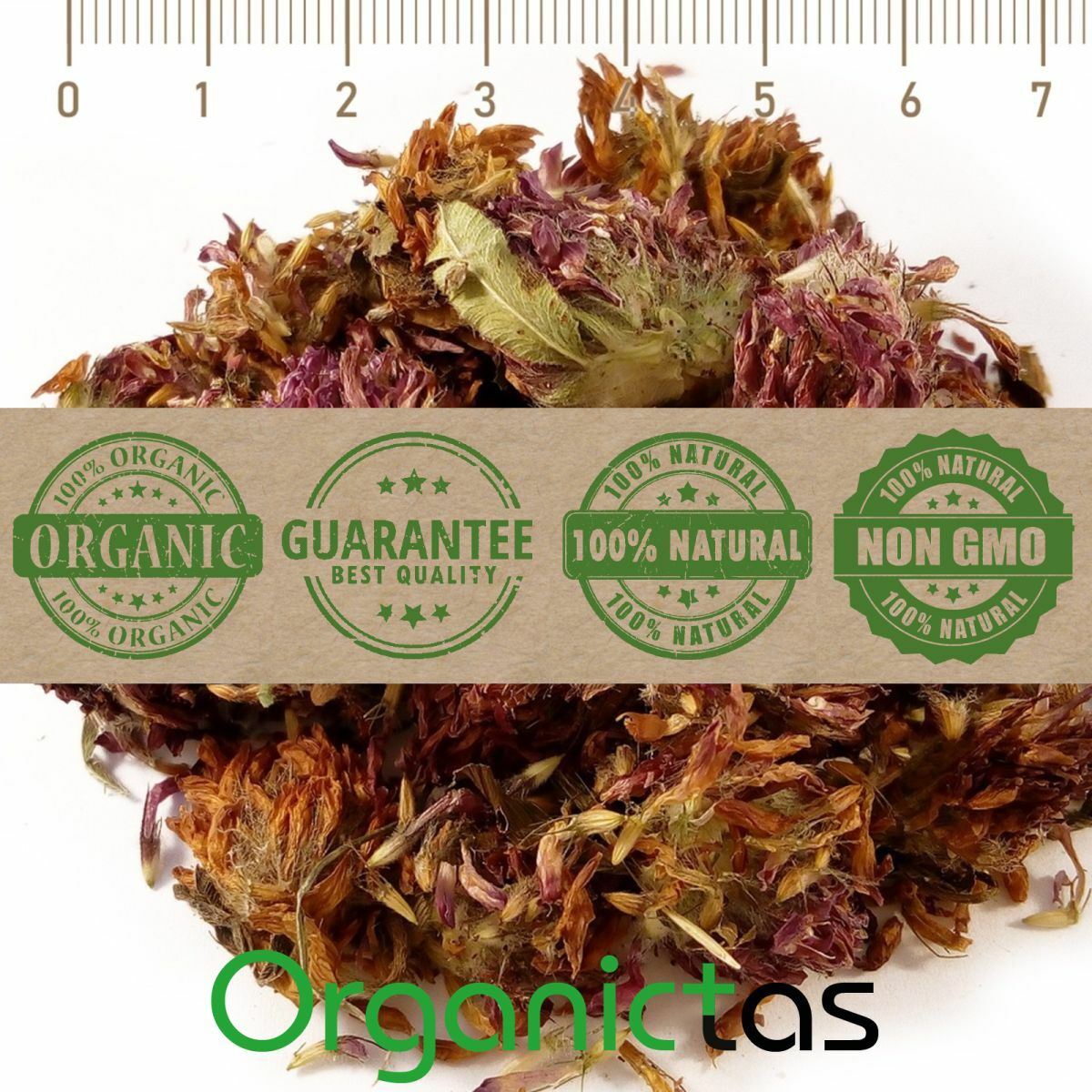 RED CLOVER Herbal Flower Tea (Trifolium Pratense) Premium Quality Organic 100 g