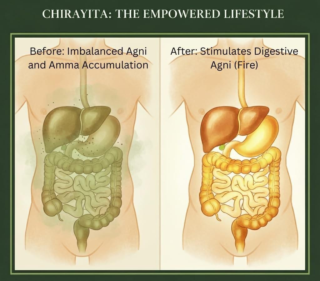Chirata Herbal Infusion Liver Detox & Digestion Support Herb 50 Sachets