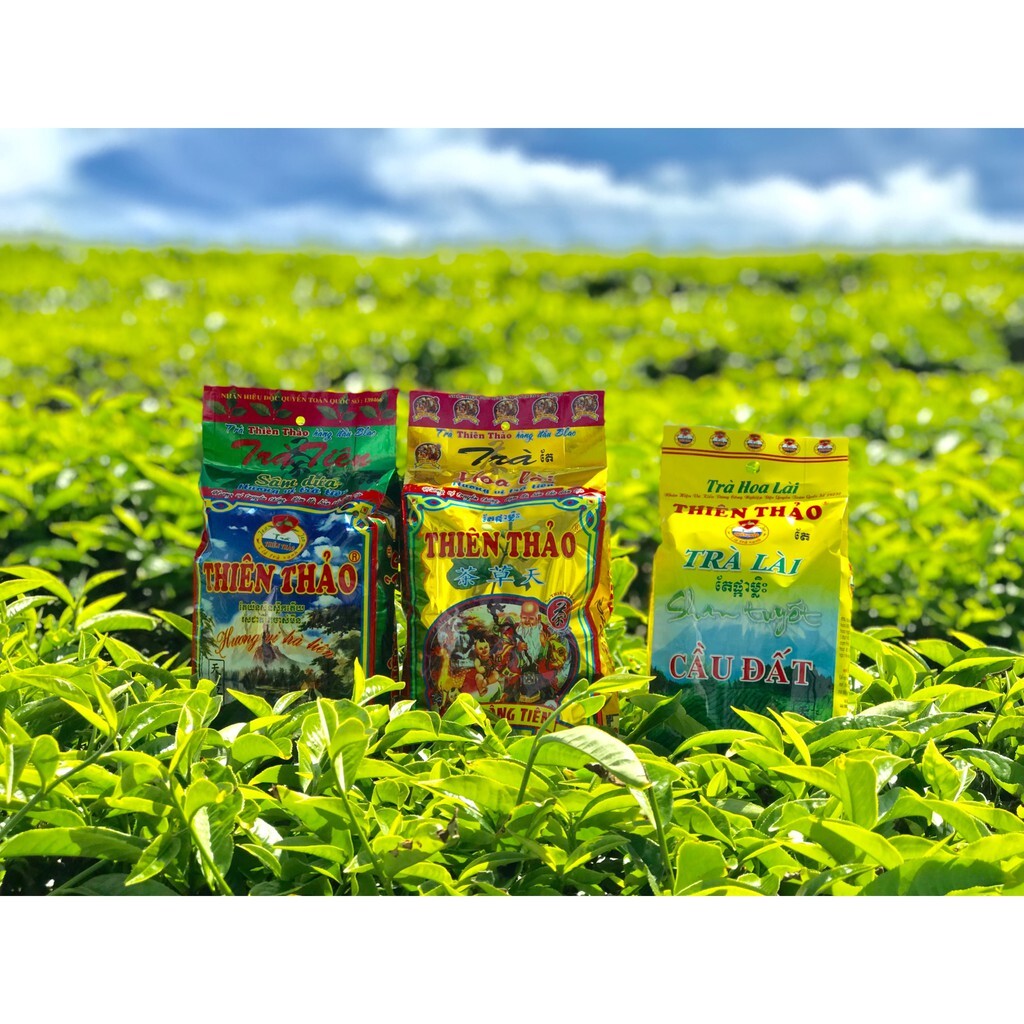 Thien Thao Vietnamese Pandan Green Tea – Tra Sam Dua Pha Tra Da 300g (10.5oz)