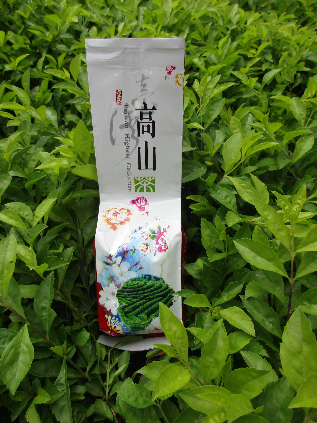 Taiwan Jin xuan Milk Wulong Milk Taste Tiguanyin Green Tea Milk Oolong Tea 125g