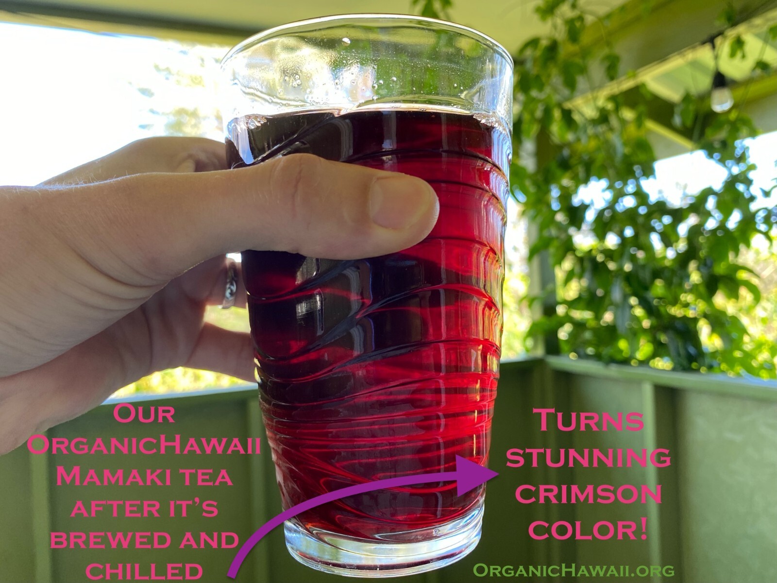 Organic Hawaii MAMAKI Whole Leaves for Tea FRESHLY DRIED Resealable Bag 9g /.3oz