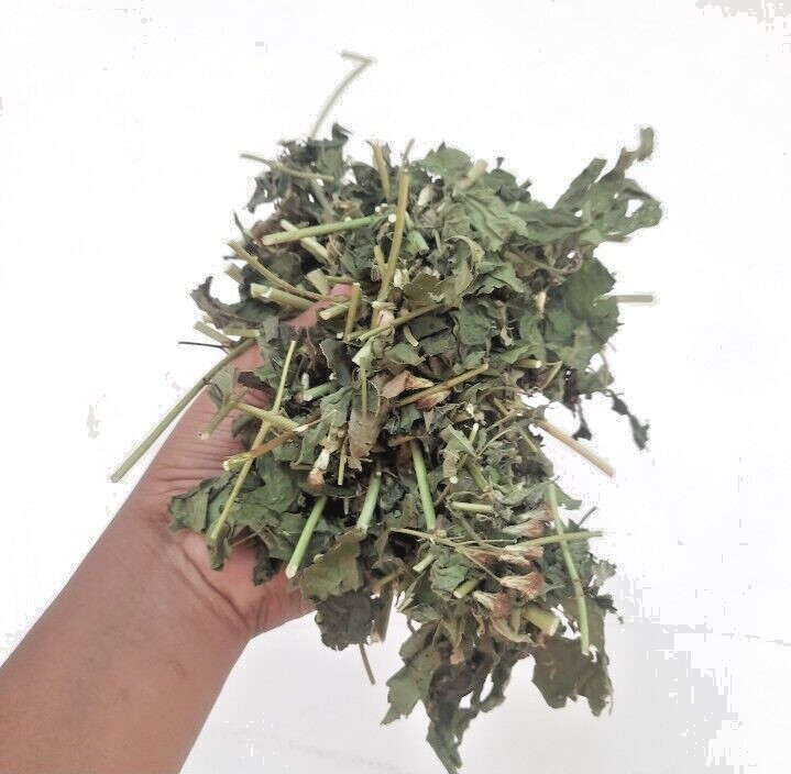 130g Dried Mexican Dream Herb CALEA ZACATECHICHI Lucid Pure ORGANIC Herbal Tea