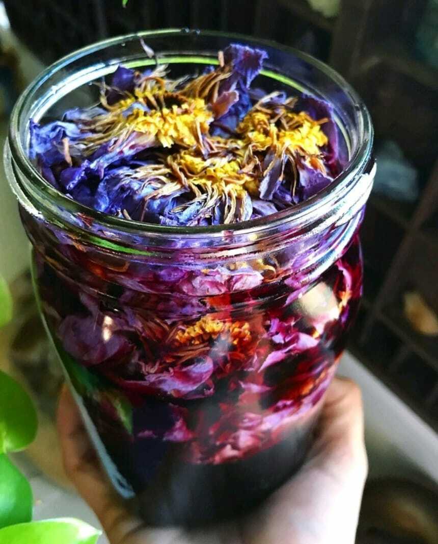 Natural Organic Dried Blue Lotus Nymphaea Caerulea Flower 100% Herbal Tea 50g.