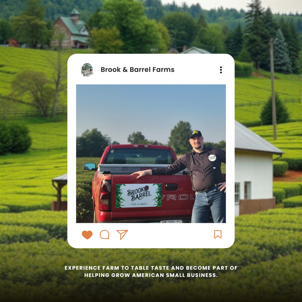 Experience Premium Quality with Brook & Barrel USDA Organic Gunpowder Green Tea