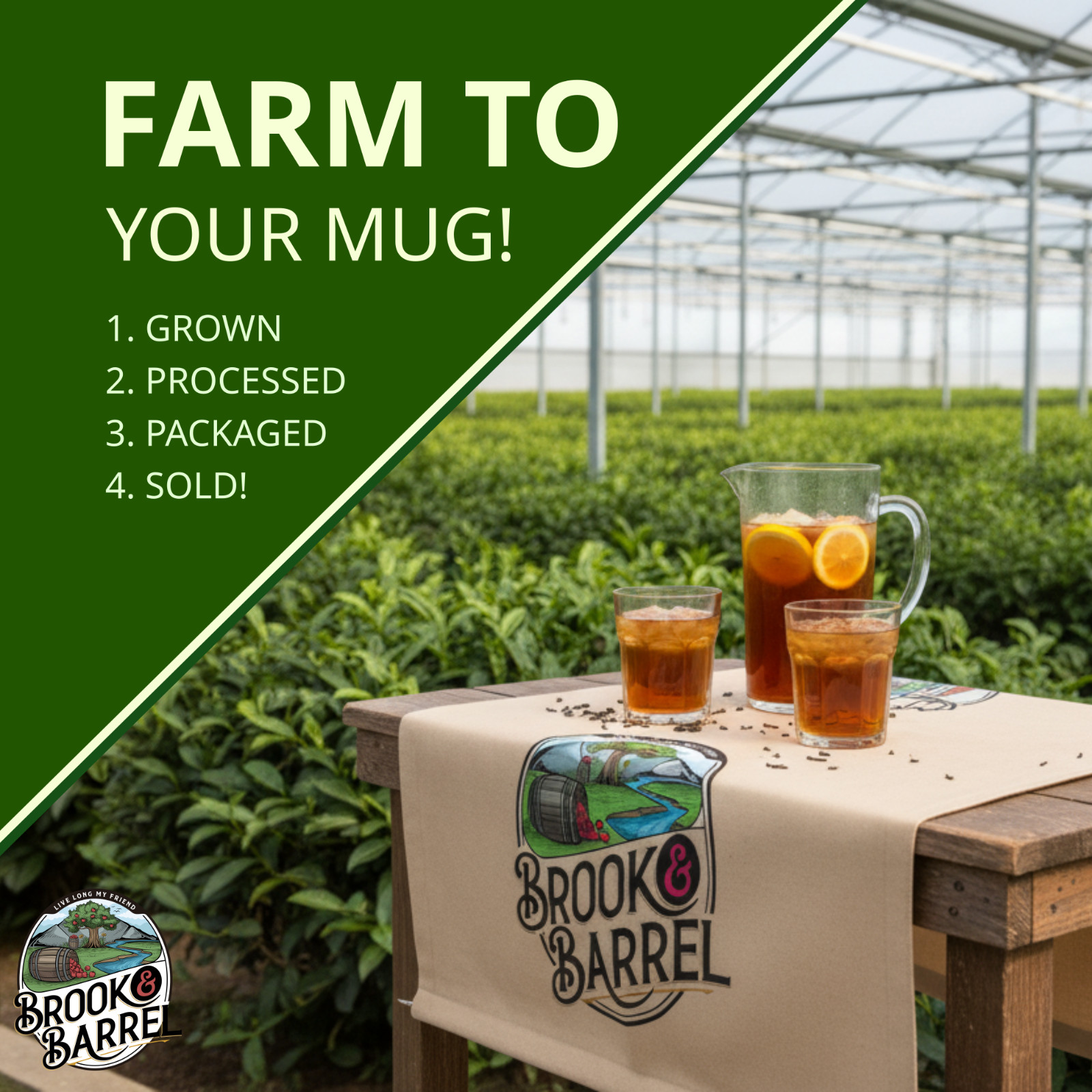 Experience Premium Quality with Brook & Barrel USDA Organic Gunpowder Green Tea