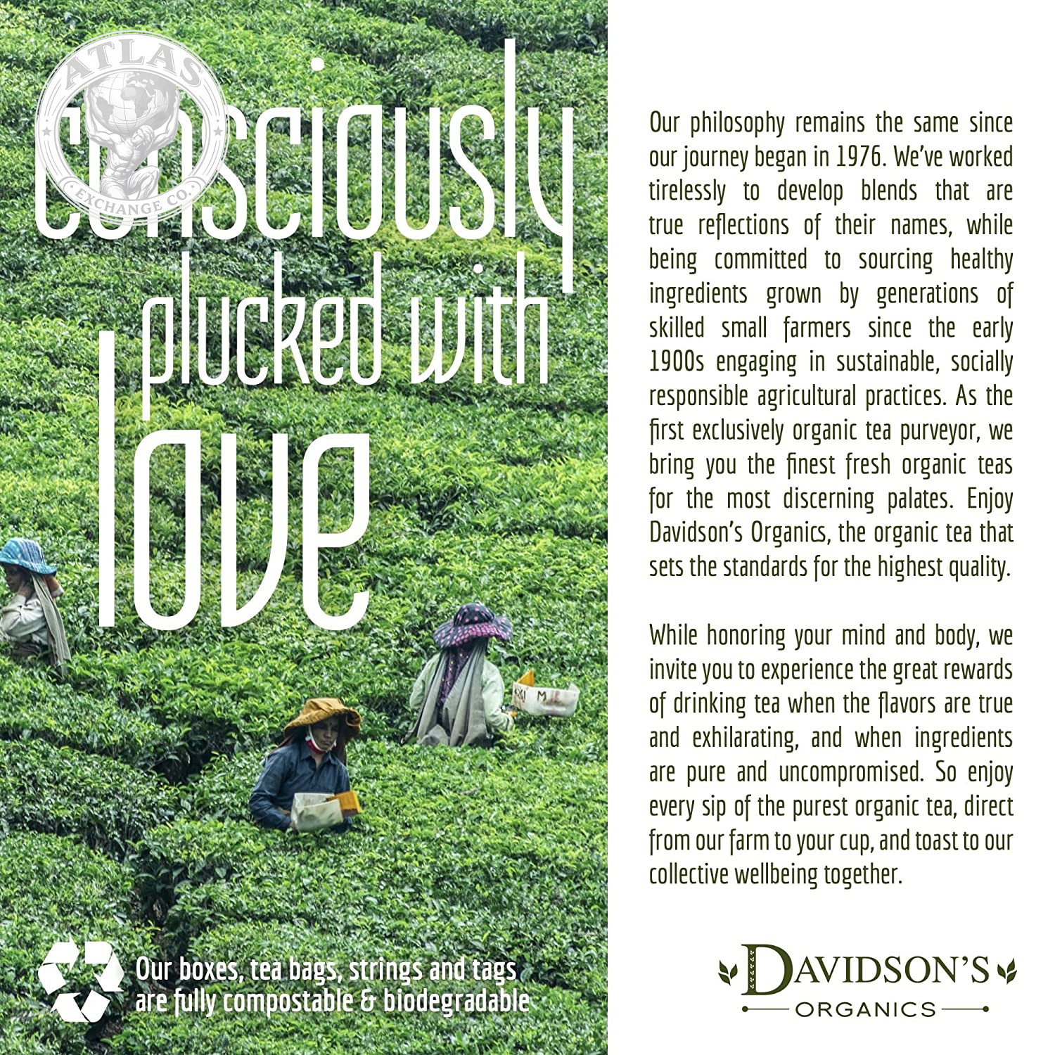 Davidson’S Organics, Gunpowder Green, Loose Leaf Tea, 16-Ounce Bag(Packaging May