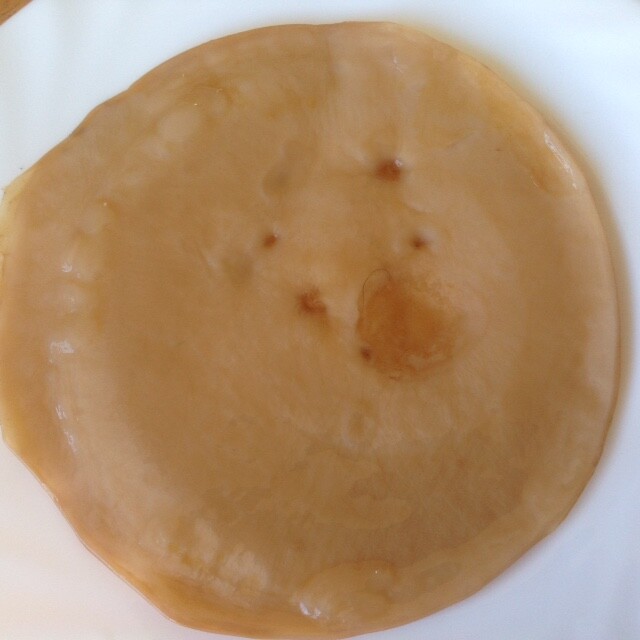 Kombucha Organic Raw Probiotics Scoby Live Culture Mushroom Starter Kit Detox