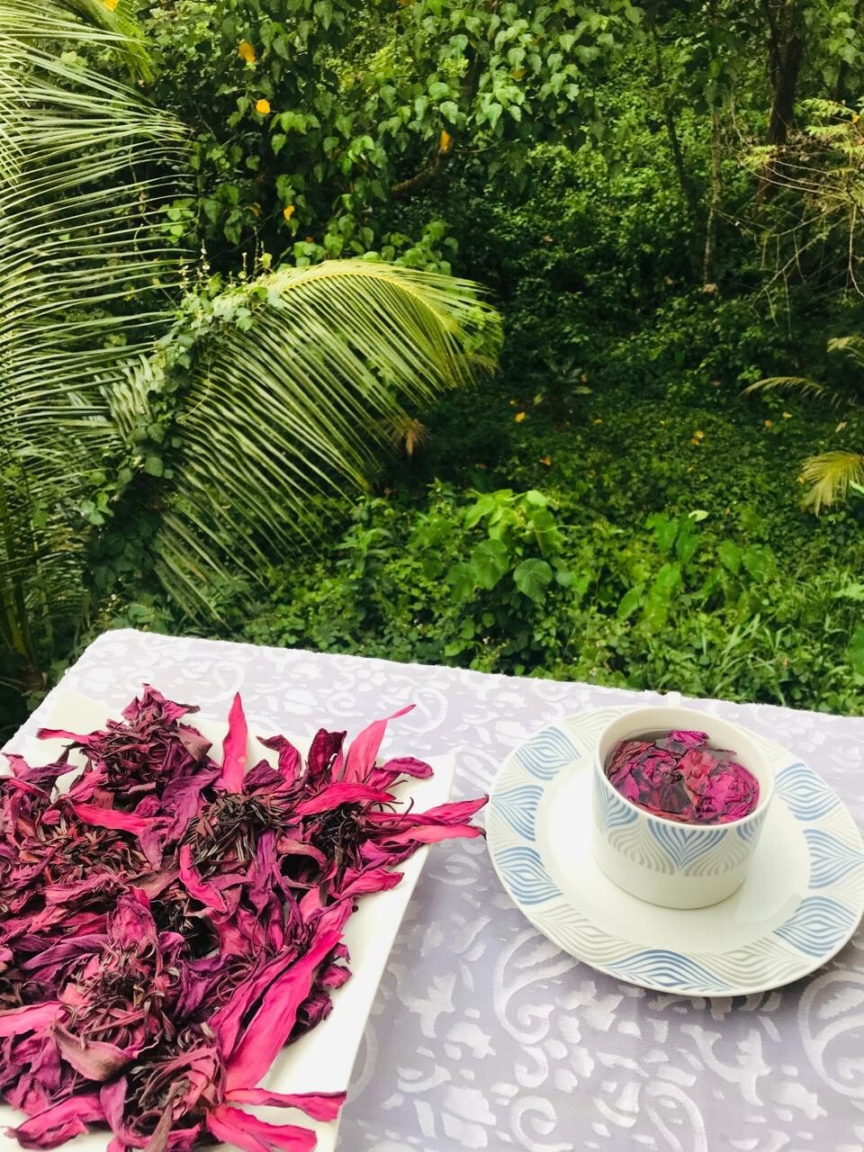 Ceylon Red Lotus 1lb Nymphaea Rubra 100% Hand Pick Organic Herbal Flowers Tea