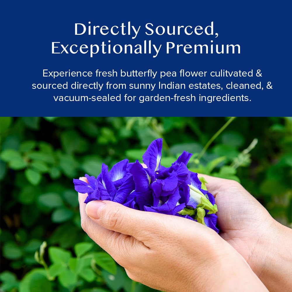 , Butterfly Pea Flower Tea (1.76Oz) 100+ Cups | Delicate & Earthy | Vacuum Seale