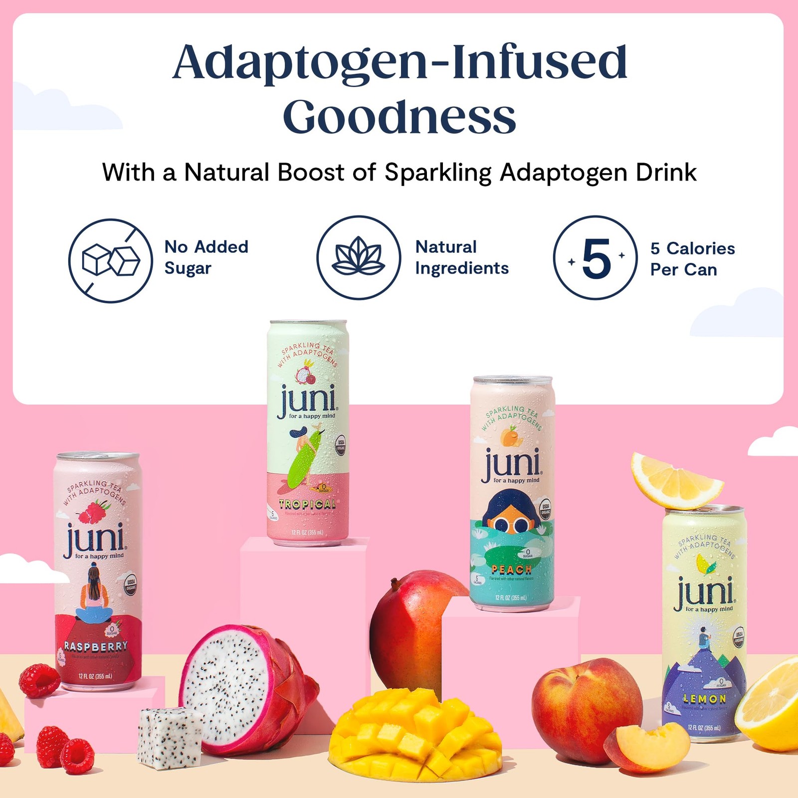 Sparkling Adaptogen Drink with Ashwagandha, Lion’s Mane & Reishi Mushrooms | …