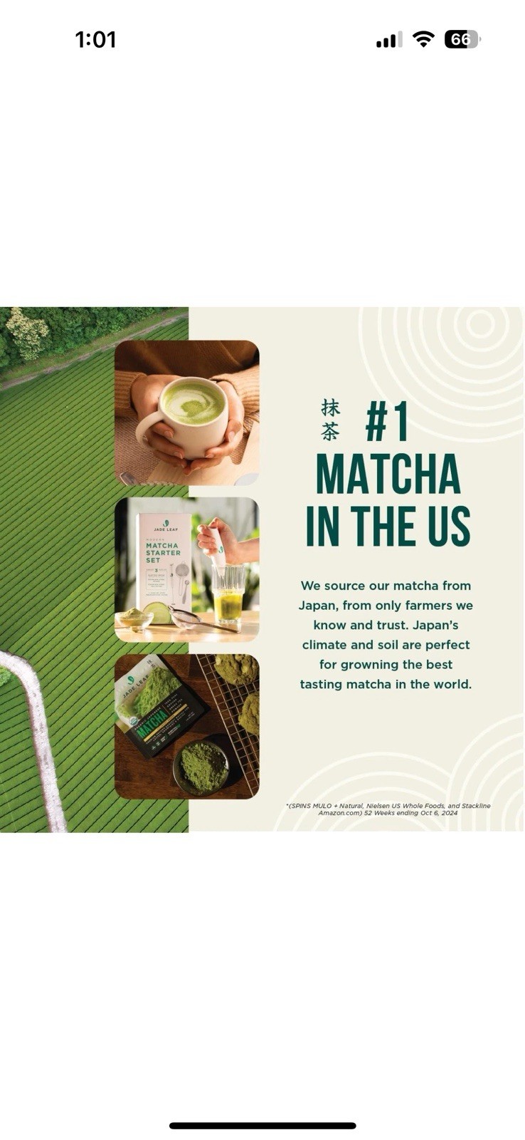 Jade Leaf Organic Matcha Latte Mix – Cafe Style Sweetened Blend – Sweet Matcha G