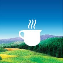 Immune Support Green Tea 20 Tea Bags