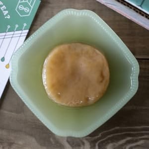 SCOBY and Starter Tea Liquid – Premium Live Culture – Fermentation and Kombucha