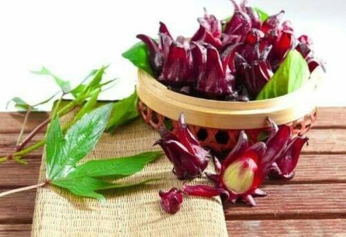 Thai USDA Organic Herbal Tea Lemongrass Rosella Ginger Butterfly Pea 1-5 Packs