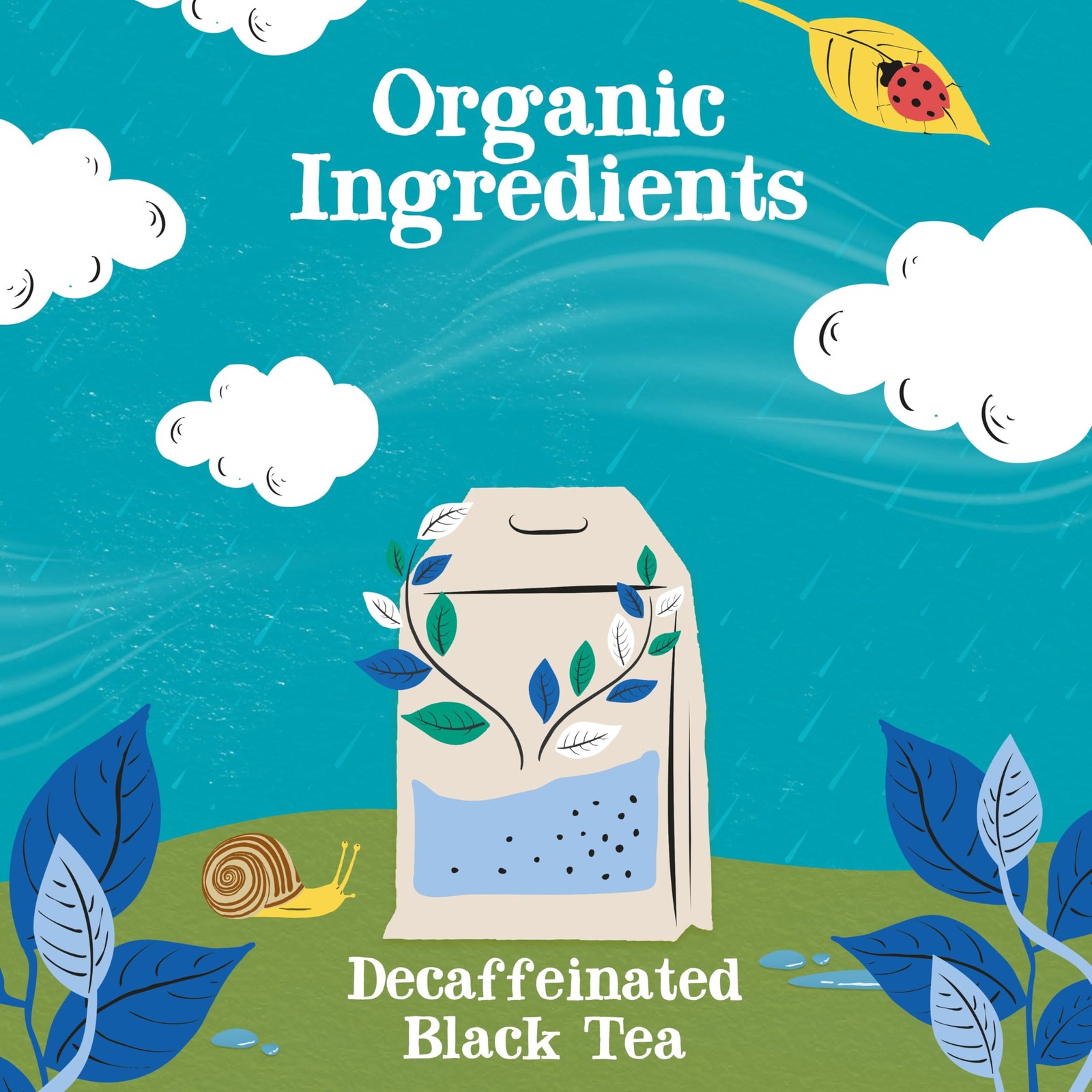 , Organic Decaf, Plant-Based, Decaffeinated Black Tea, Great Over Ice, 1 Pack…