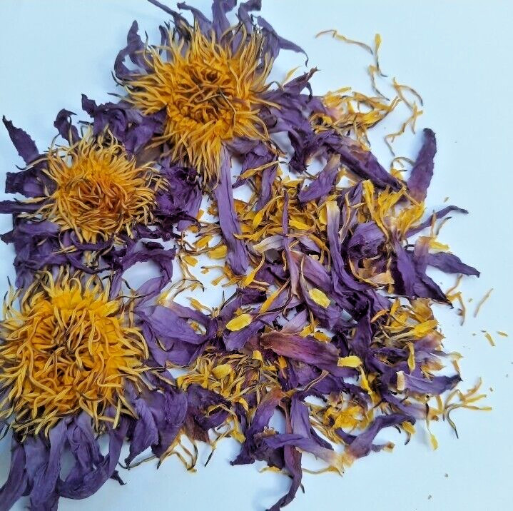 180g Dried Blue Lotus Flower Nymphaea Caerulea Natural Hand Picked Flower Herbal