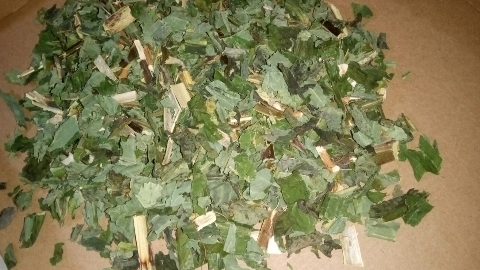 1 Cup Dried Wild Lettuce Whole Plant(Lactuca Virosa)For Tea or Tincture.US grown