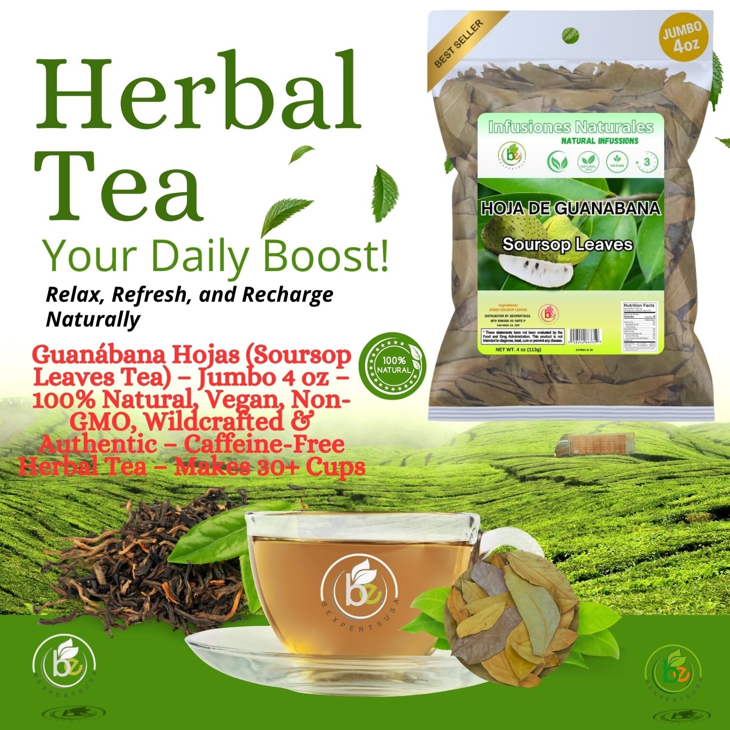 Guanábana Hojas (Soursop Leaves Tea) – Jumbo 4 oz – 100% Natural, Vegan, Non-…