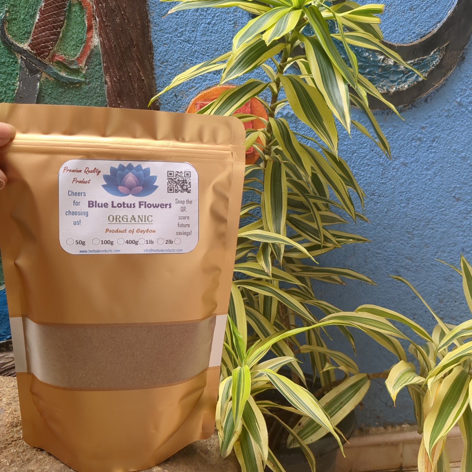 Dried Blue lotus Powder Nymphaea Caerulea Flower Organic Pure Quality Herbal Tea