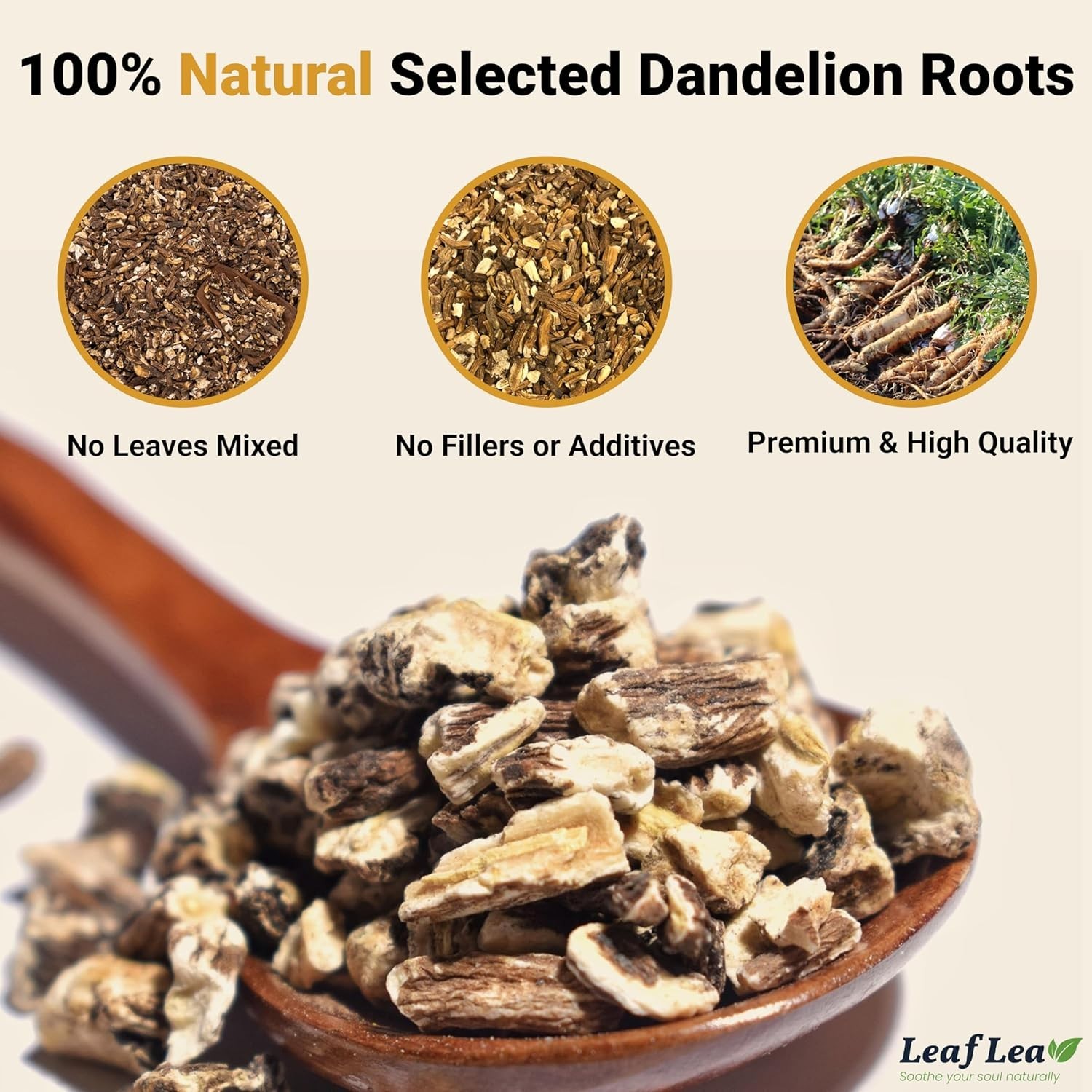40 Count Dandelion Root Tea Bags – Earthy Flavor, Hand-Harvested Quality