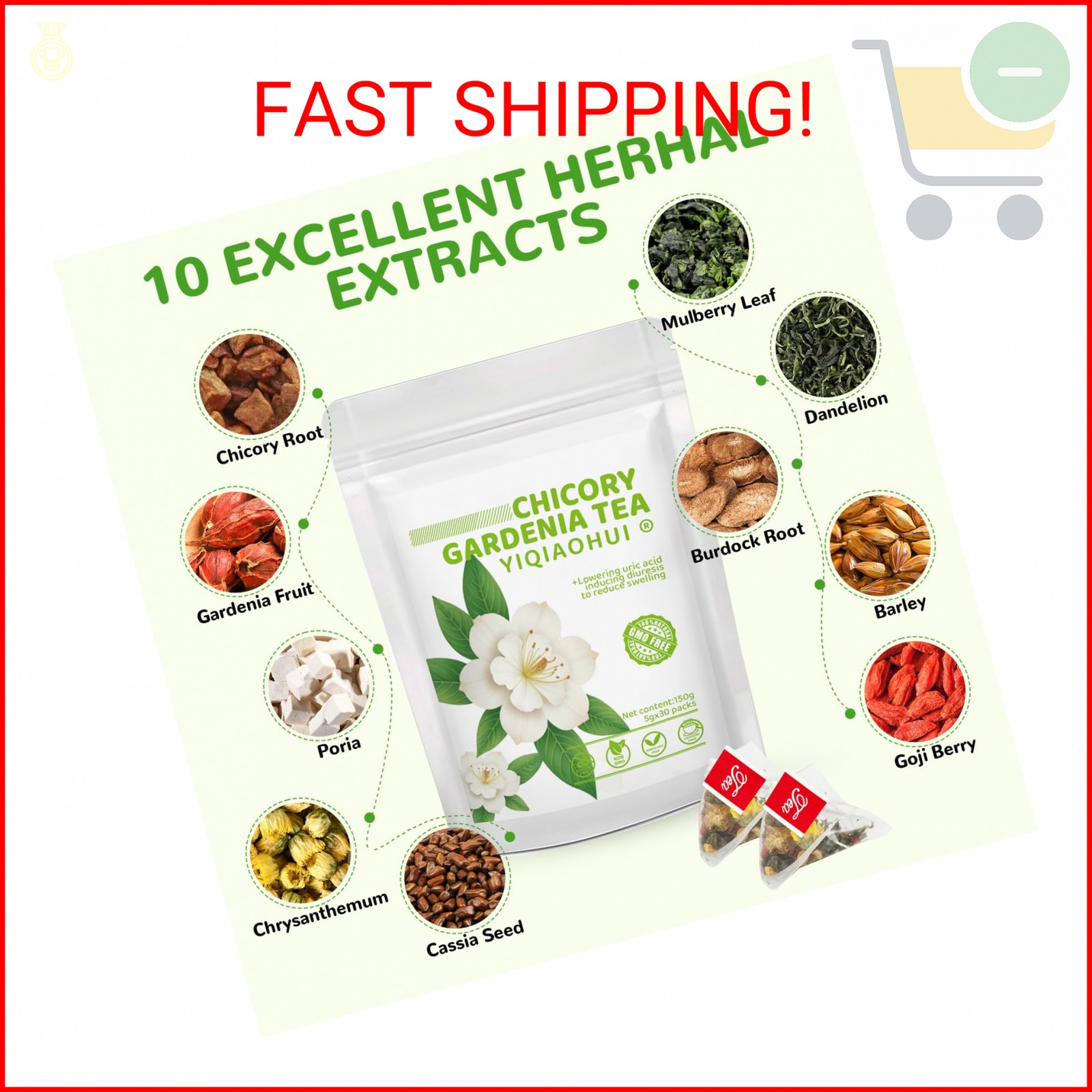 Chicory and Gardenia Tea, Burdock Root Tea – Thoughtful Gift for Parents & Senio